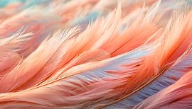 Zachte veer met oranje kleur