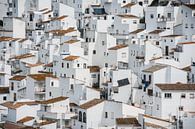 Weiße Häuser, Casares (Spanien) von Nick Hartemink Miniaturansicht