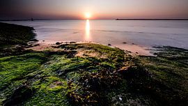 Zeegezicht vanaf de Brouwersdam