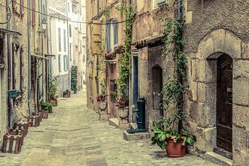 Entrevaux van Elles Rijsdijk