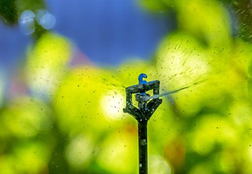 Système d'arrosage pour le jardin