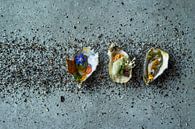 Een trio van oesters - Food Photography van Ashkan Mortezapour Photography thumbnail