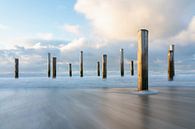 A village of poles in the North Sea by Simon Bregman thumbnail