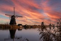 Mühlen bei Kinderdijk