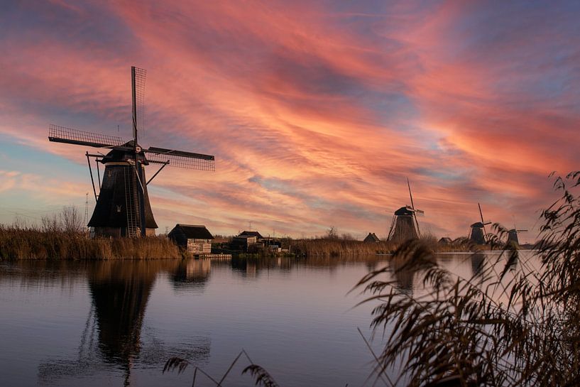 Mills near Kinderdijk by Door de lens van Tom
