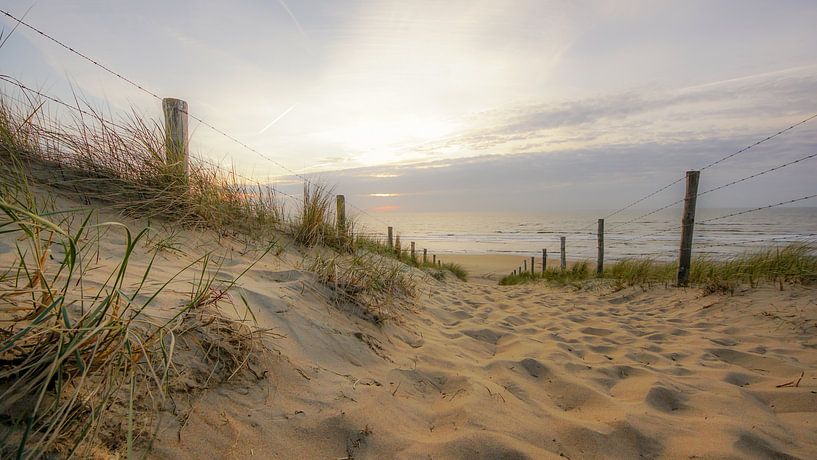 Strandleven by Dirk van Egmond