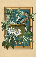The Goldfinch and the Passion Flowers