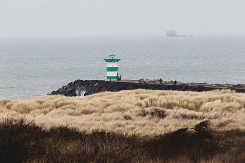 Southern pier from the Westduin Park