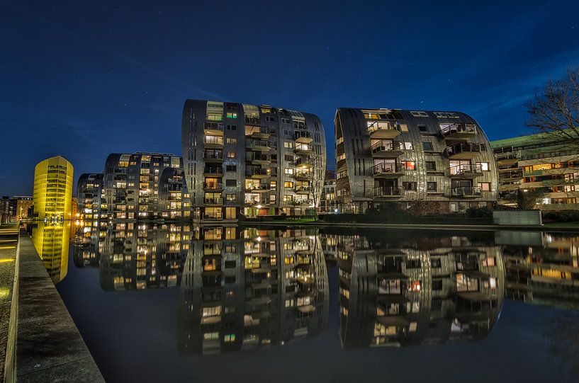 Die Reflexion von Bram Visser