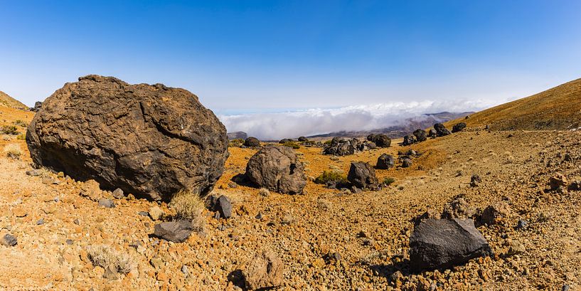 Tenerife National Park by Walter G. Allgöwer