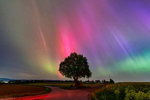 Polarlichter