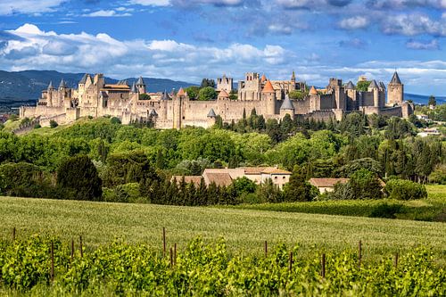 Panorama van de stad Carcassonne in Frankrijk