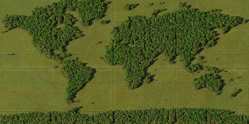 World Map Forest