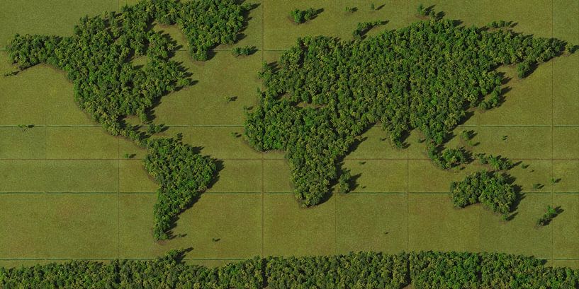 Weltkarte Wald von Frans Blok
