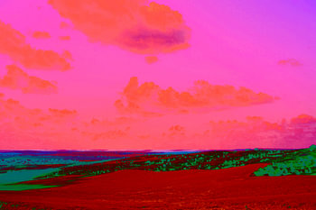 Sommerlandschaft in aktuellen Farben