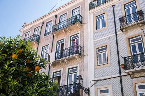 Sinaasappels in Lissabon