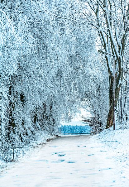 Winter Wunder land von Johnny Flash