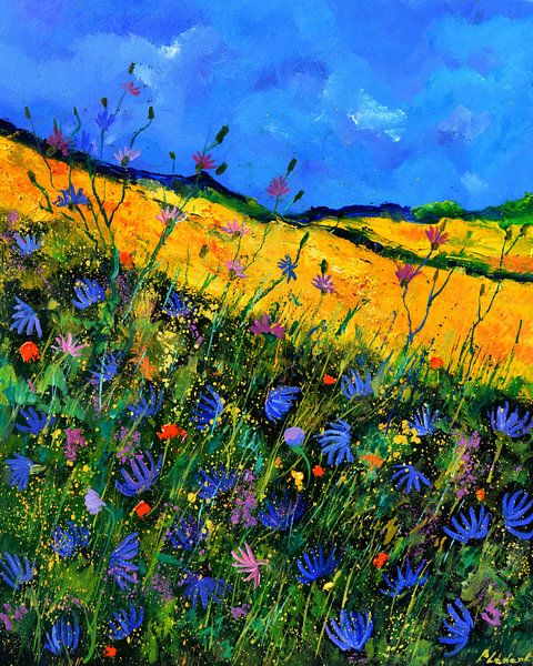 Wilde bloemen in zomer 2022 van pol ledent