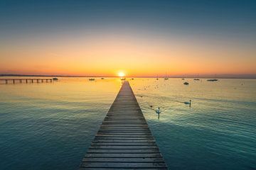 Gardasee, Bootssteg und Schwäne bei Sonnenuntergang. Lazise, Italien