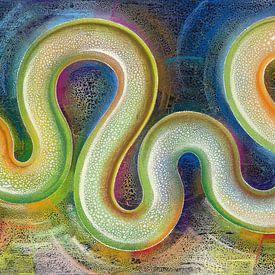 Serpentes Chroma by Achim Prill
