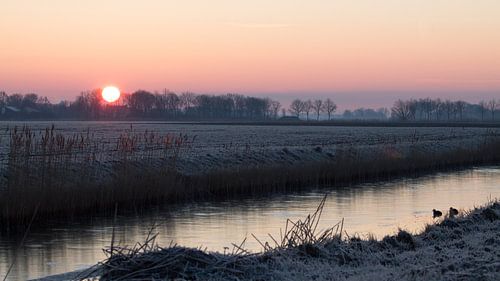 Zonsopkomst in de winter