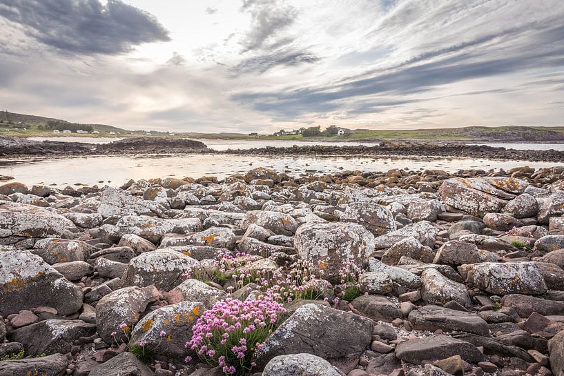 Strandanjers bij Mellon Udrigle Beach, Achnasheen, Wester Ross van Christian Müringer