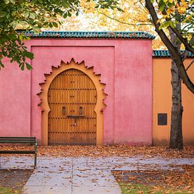 Arabische Türen mit Herbstlaub von Camilla Ottens
