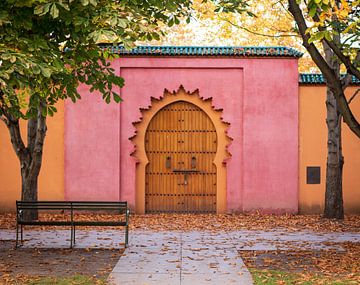 Arabische deuren met herfstbladeren van Camilla Ottens