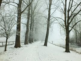Winter  von Anneke Kalma-Luimstra
