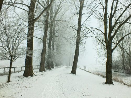 Winter 
