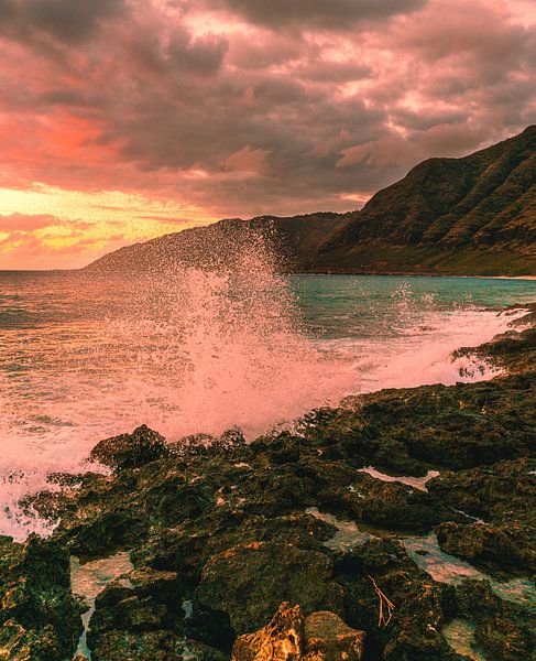 Hawaii by Hello Pompoyo