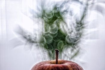 Tafereel met bubble bokeh