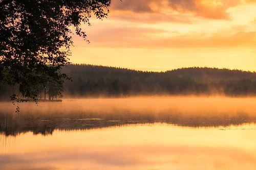 Zonsopgang met mist boven een meer in Zweden, bij zonsopgang