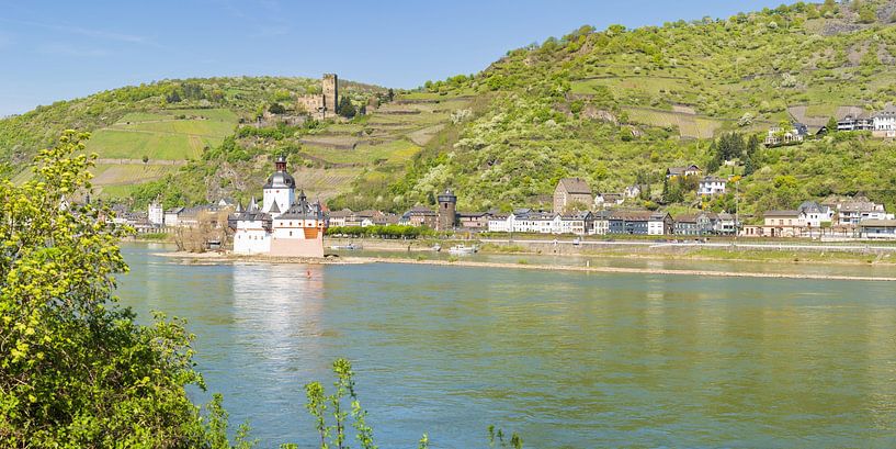 Kasteel Pfalzgrafenstein van Walter G. Allgöwer