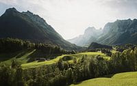 pasture