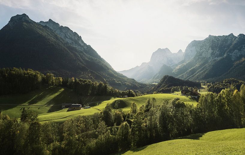 pasture by Henrik Isenberg Fotografie