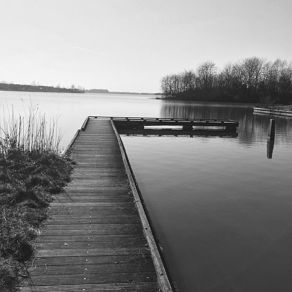 Brug von Danique Van Dijk