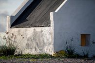 'White Slave', Bonaire by Martijn Smeets thumbnail