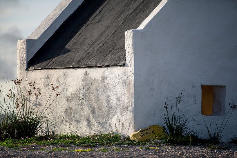 'White Slave', Bonaire by Martijn Smeets