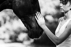 Dans van paard & ballerina 9 by Sabine Timman