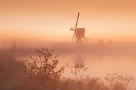 Time to wake up by Halma Fotografie thumbnail