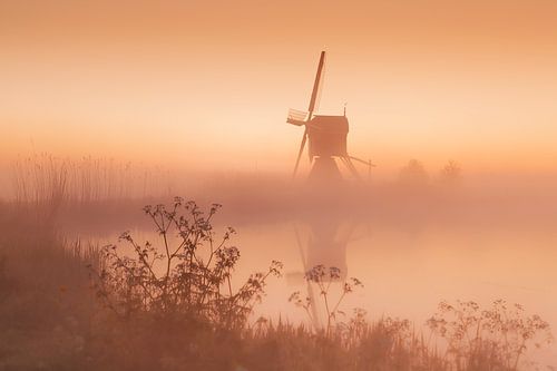 Time to wake up by Halma Fotografie