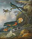 A Parrot, A Perroquet And A Gold Finch At The Base Of A Tree, Christop by Masterful Masters thumbnail