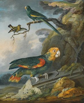 Ein Papagei, ein Perroquet und ein Goldfink am Fuß eines Baumes, Christophe Huet
