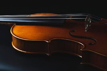 liggende viool van Thomas Heitz