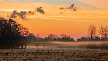 Atemberaubendes Farbenspiel über einem nebligen Feld vor Sonnenaufgang