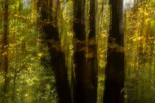 Autumn colours creative