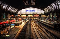 Hamburger Hauptbahnhof von Holger Debek Miniaturansicht
