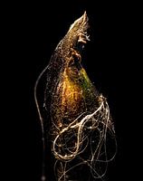 Seed