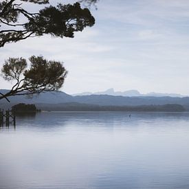 Maria Island: Strahan's Natuurlijke Schat van Ken Tempelers